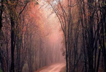 九游：洛佩特吉谈离开西班牙国家队：如果再选一遍，我还是会签约皇马.