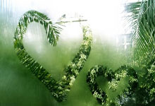 九游:库里7中0施罗德首秀12中2 勇士遭灰熊51分血洗.