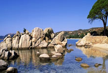 九游：东契奇45+11+13库里空砍26+10 独行侠力克勇士.